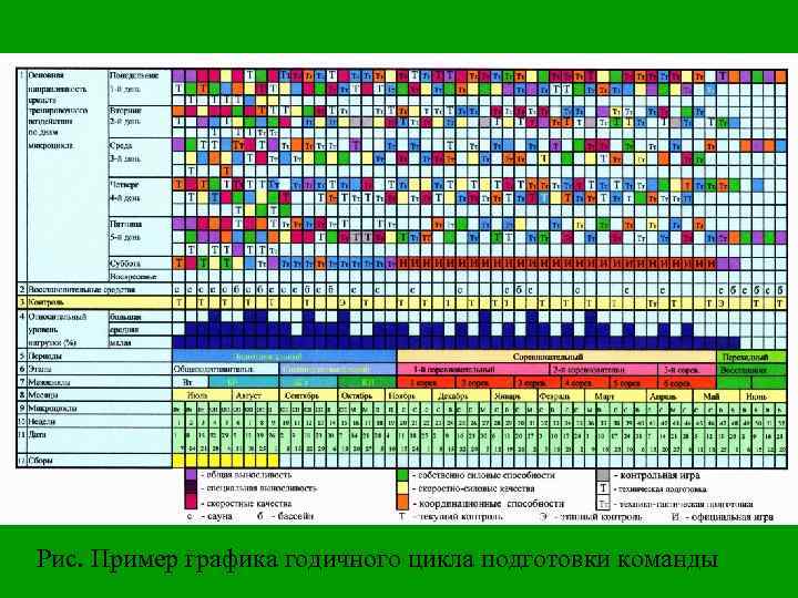 Рис. Пример графика годичного цикла подготовки команды 