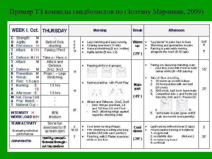 Пример ТЗ команды гандболистов по (Золтану Марчинке, 2009) 