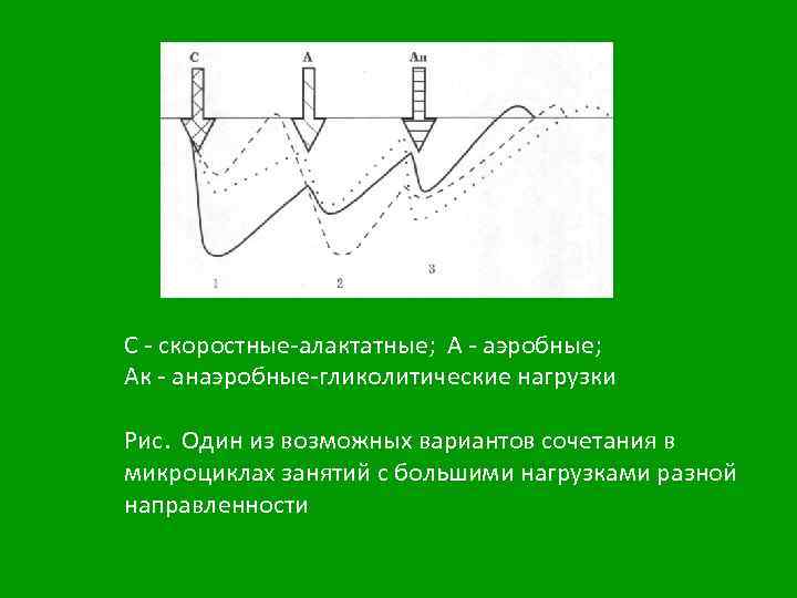 С - скоростные-алактатные; А - аэробные; Ак - анаэробные-гликолитические нагрузки Рис. Один из возможных