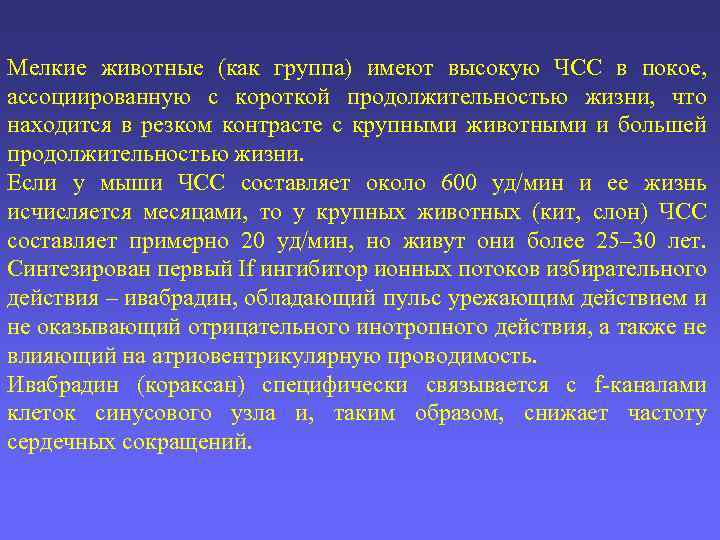 Мелкие животные (как группа) имеют высокую ЧСС в покое, ассоциированную с короткой продолжительностью жизни,