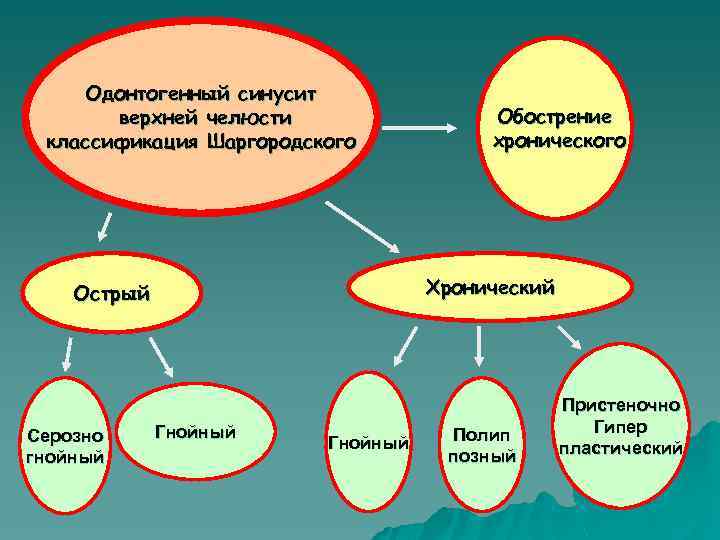 Одонтогенный синусит верхней челюсти классификация Шаргородского Хронический Острый Серозно гнойный Обострение хронического Гнойный Полип