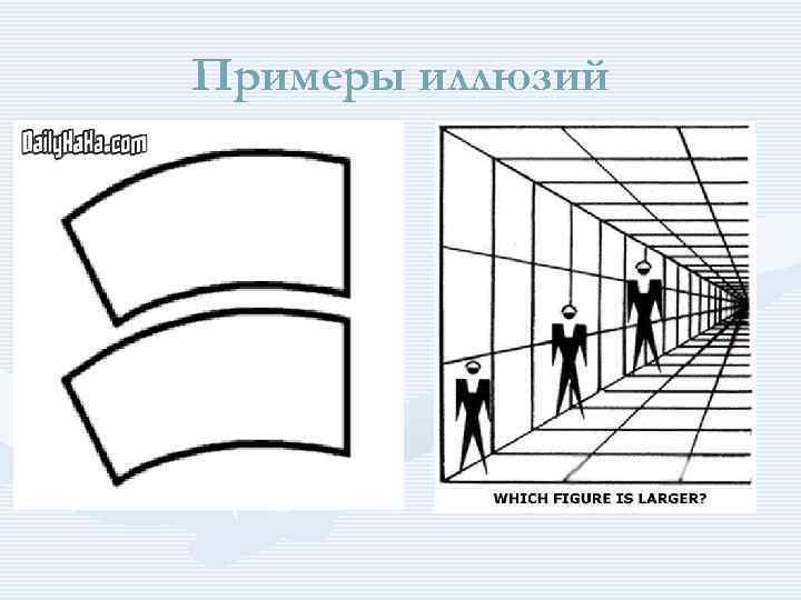 Примеры иллюзий 