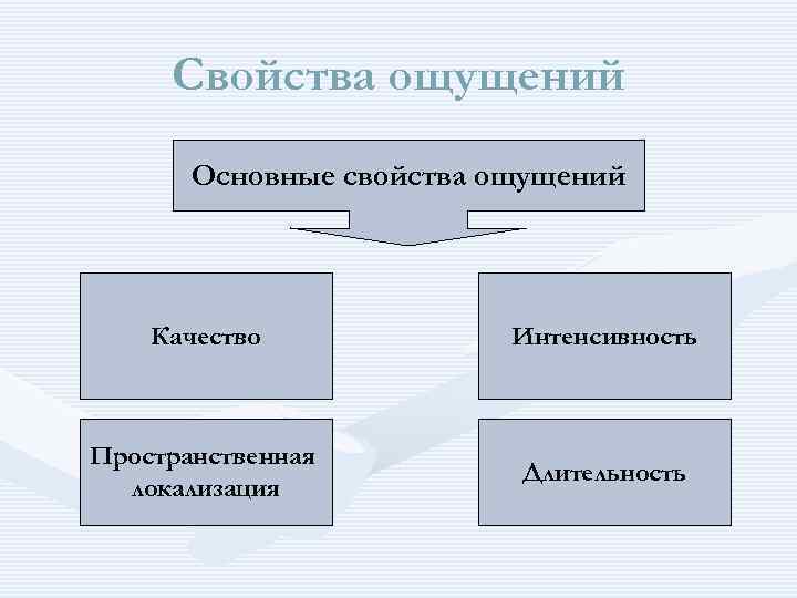 Свойства ощущений качество интенсивность