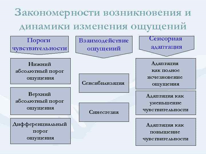 Закономерности представлений