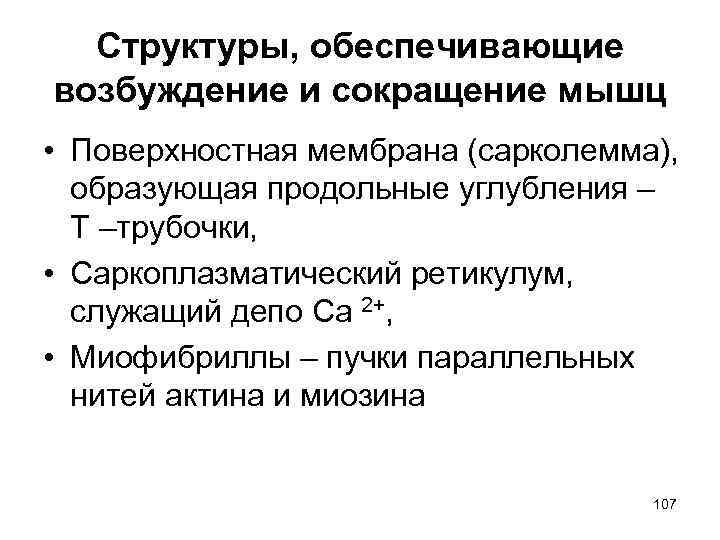 Структуры, обеспечивающие возбуждение и сокращение мышц • Поверхностная мембрана (сарколемма), образующая продольные углубления –
