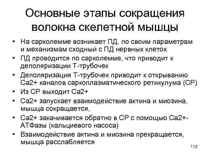 Фазы сокращения