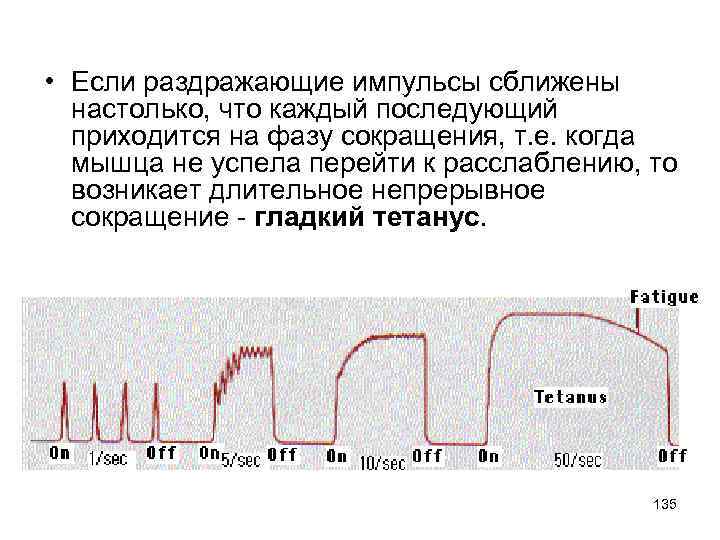  • Если раздражающие импульсы сближены настолько, что каждый последующий приходится на фазу сокращения,