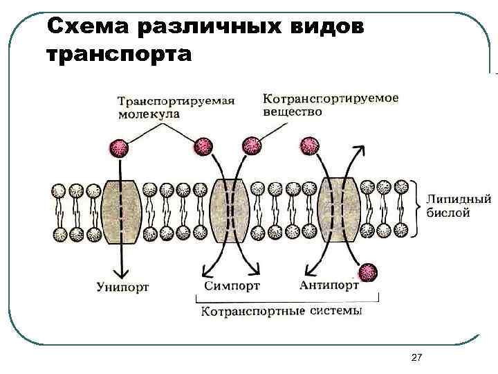 Схема различных видов транспорта 27 