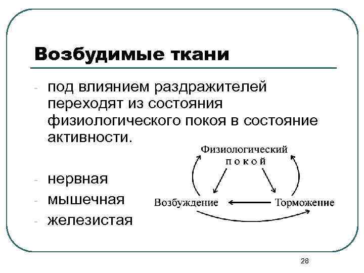 Возбудимые ткани - под влиянием раздражителей переходят из состояния физиологического покоя в состояние активности.