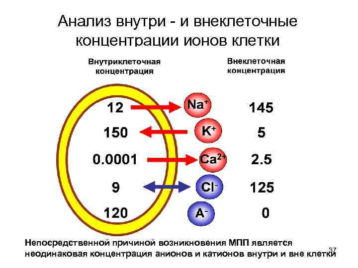 Концентрация ионов в плазме