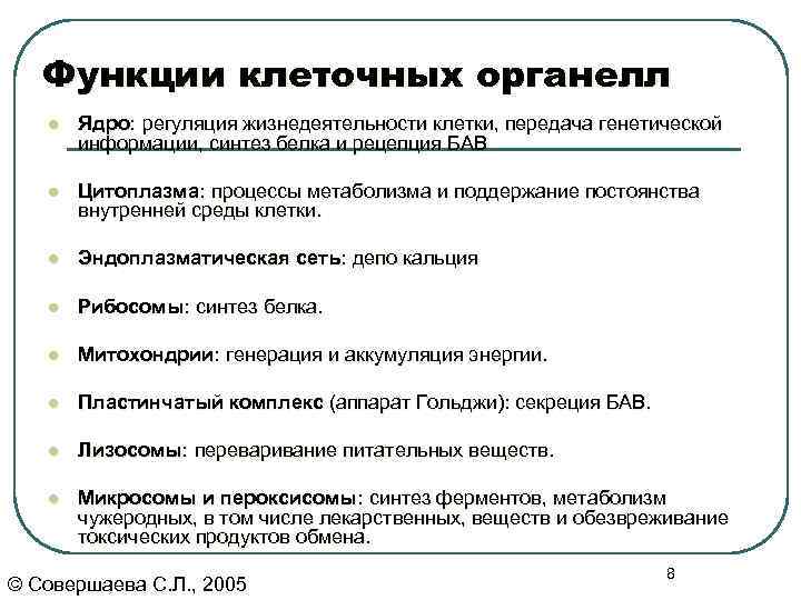 Функции клеточных органелл l Ядро: регуляция жизнедеятельности клетки, передача генетической информации, синтез белка и