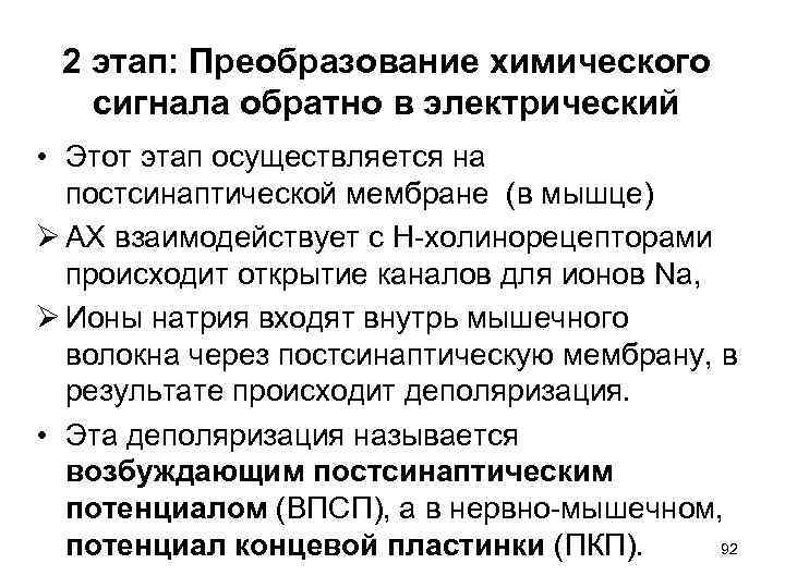 2 этап: Преобразование химического сигнала обратно в электрический • Этот этап осуществляется на постсинаптической