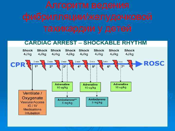 Алгоритм ведения фибрилляции/желудочковой тахикардии у детей 