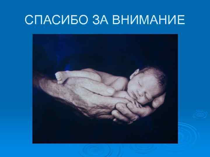 СПАСИБО ЗА ВНИМАНИЕ 