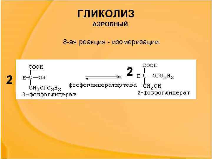 ГЛИКОЛИЗ АЭРОБНЫЙ 8 -ая реакция - изомеризации: 2 2 