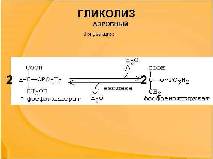 ГЛИКОЛИЗ АЭРОБНЫЙ 9 -я реакция: 2 2 
