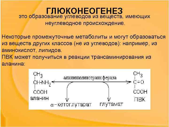 ГЛЮКОНЕОГЕНЕЗ это образование углеводов из веществ, имеющих неуглеводное происхождение. Некоторые промежуточные метаболиты и могут