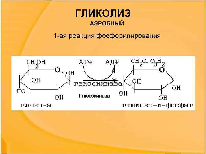 В схеме превращений cucl2 a b cu формулами промежуточных продуктов а и в являются