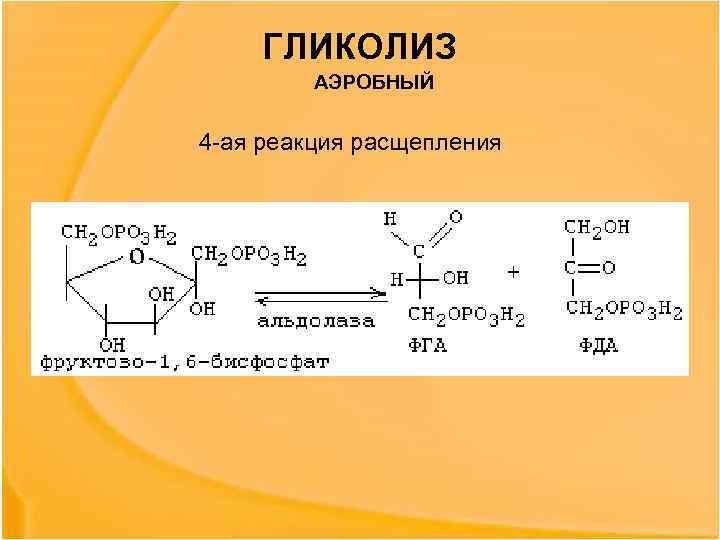 Аэробный гликолиз схема процесса