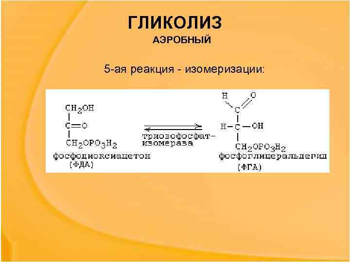 ГЛИКОЛИЗ АЭРОБНЫЙ 5 -ая реакция - изомеризации: 