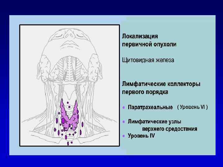 ( Уровень VI ) 