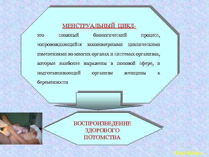 МЕНСТРУАЛЬНЫЙ ЦИКЛэто сложный биологический процесс, сопровождающийся закономерными циклическими изменениями во многих органах и системах