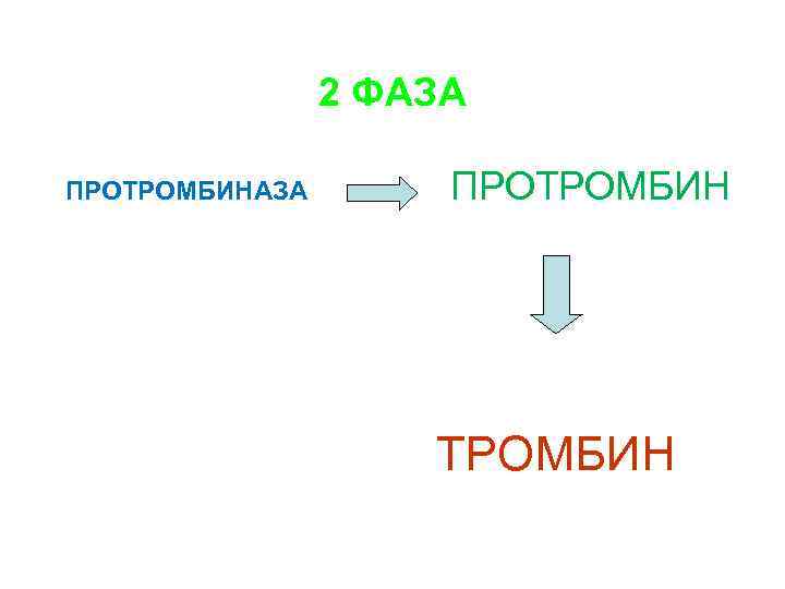2 ФАЗА ПРОТРОМБИНАЗА ПРОТРОМБИН ТРОМБИН (активный фермент) 