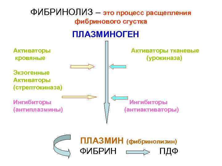 ФИБРИНОЛИЗ – это процесс расщепления фибринового сгустка ПЛАЗМИНОГЕН Активаторы кровяные Экзогенные Активаторы (стрептокиназа) Ингибиторы