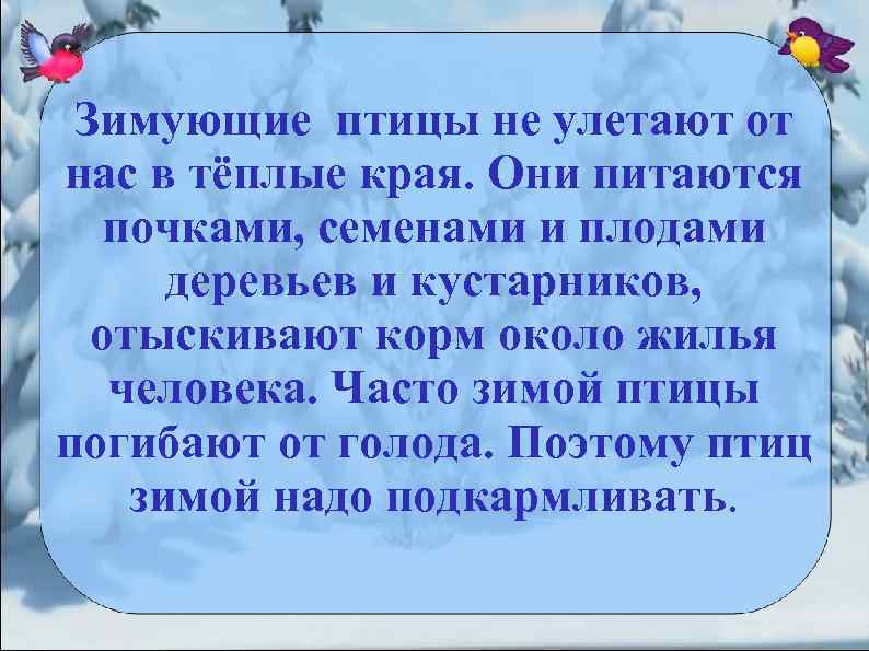 Зимующие птицы не улетают от нас в тёплые края. Они питаются почками, семенами и