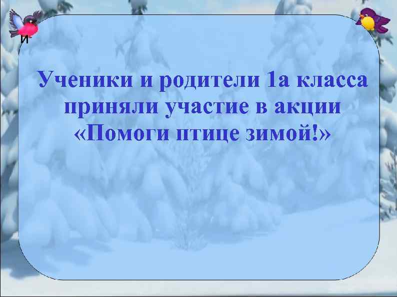 и Ученики и родители 1 а класса приняли участие в акции «Помоги птице зимой!»