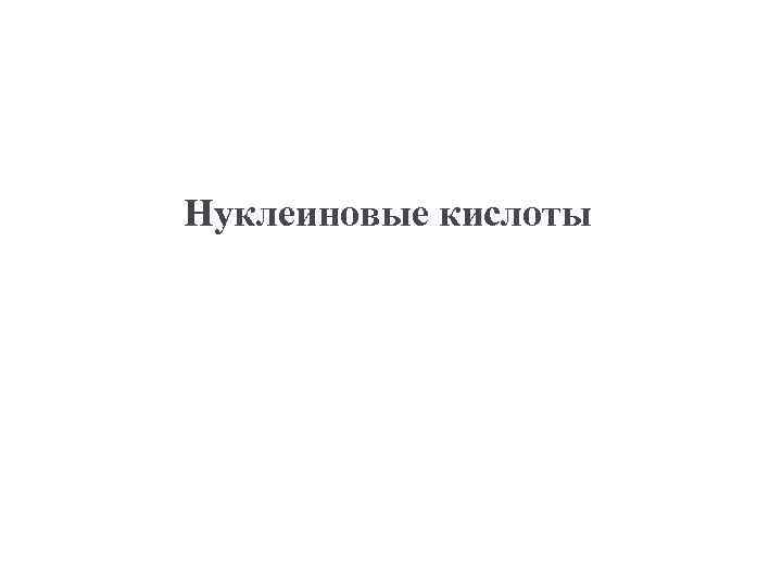 Нуклеиновые кислоты 