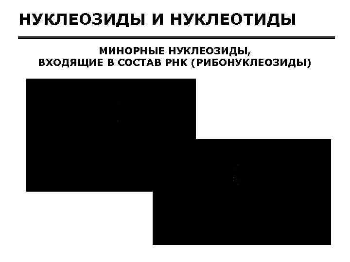 НУКЛЕОЗИДЫ И НУКЛЕОТИДЫ МИНОРНЫЕ НУКЛЕОЗИДЫ, ВХОДЯЩИЕ В СОСТАВ РНК (РИБОНУКЛЕОЗИДЫ) 