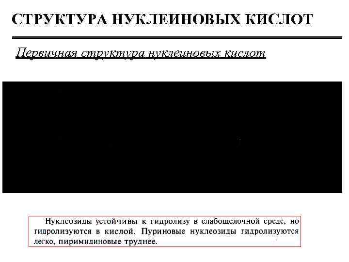 СТРУКТУРА НУКЛЕИНОВЫХ КИСЛОТ Первичная структура нуклеиновых кислот 