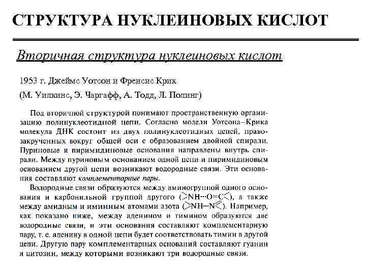СТРУКТУРА НУКЛЕИНОВЫХ КИСЛОТ Вторичная структура нуклеиновых кислот 1953 г. Джеймс Уотсон и Френсис Крик
