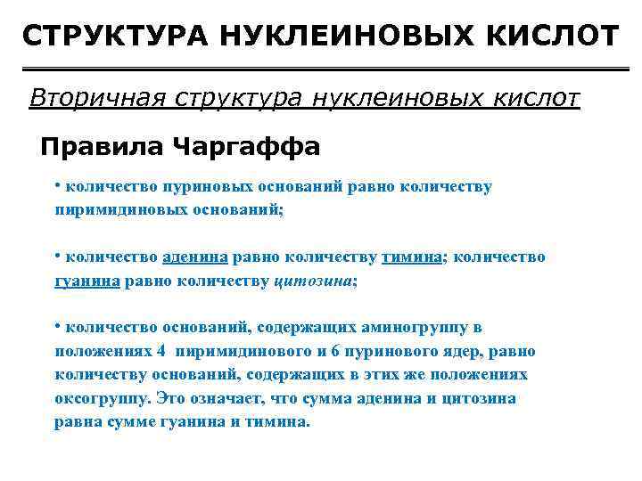 СТРУКТУРА НУКЛЕИНОВЫХ КИСЛОТ Вторичная структура нуклеиновых кислот Правила Чаргаффа • количество пуриновых оснований равно