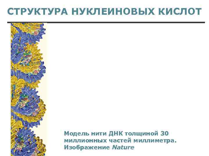СТРУКТУРА НУКЛЕИНОВЫХ КИСЛОТ Модель нити ДНК толщиной 30 миллионных частей миллиметра. Изображение Nature 