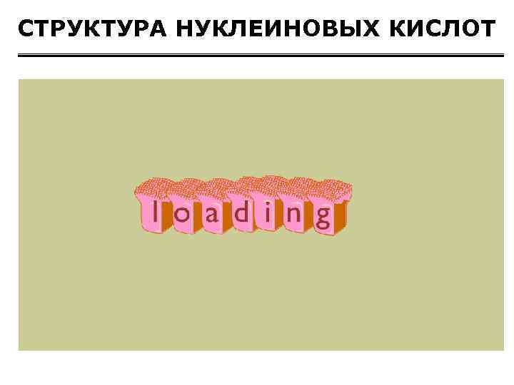 СТРУКТУРА НУКЛЕИНОВЫХ КИСЛОТ 