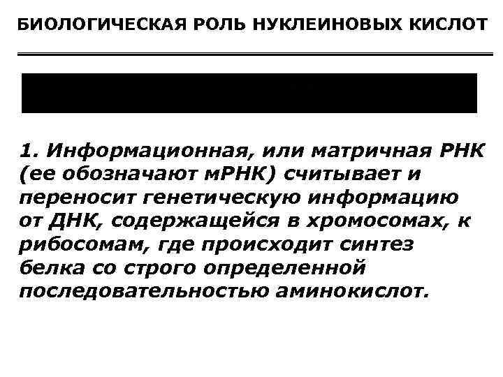 БИОЛОГИЧЕСКАЯ РОЛЬ НУКЛЕИНОВЫХ КИСЛОТ 1. Информационная, или матричная РНК (ее обозначают м. РНК) считывает
