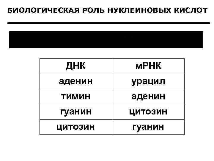 БИОЛОГИЧЕСКАЯ РОЛЬ НУКЛЕИНОВЫХ КИСЛОТ ДНК м. РНК аденин урацил тимин аденин гуанин цитозин гуанин