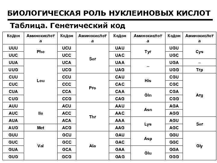 БИОЛОГИЧЕСКАЯ РОЛЬ НУКЛЕИНОВЫХ КИСЛОТ Таблица. Генетический код Кодон UUU UUC Аминокислот а Phe Кодон