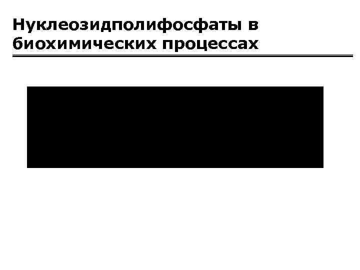 Нуклеозидполифосфаты в биохимических процессах 