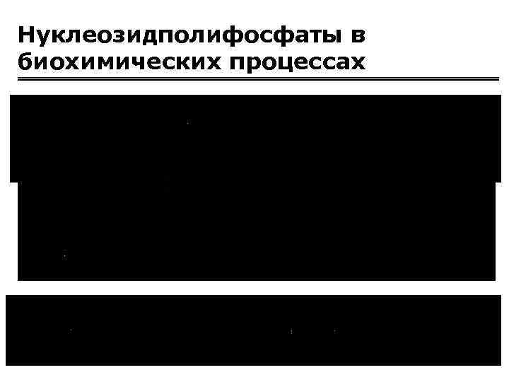 Нуклеозидполифосфаты в биохимических процессах 