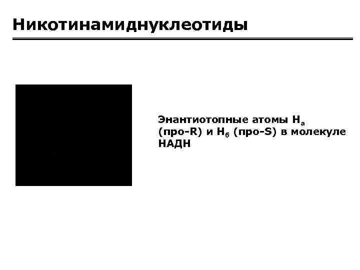 Никотинамиднуклеотиды Энантиотопные атомы Hа (про-R) и Нб (про-S) в молекуле НАДН 