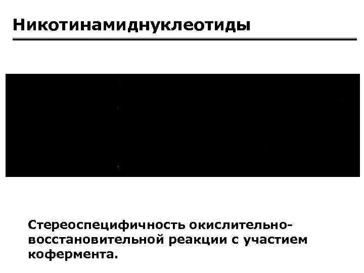 Никотинамиднуклеотиды Стереоспецифичность окислительновосстановительной реакции с участием кофермента. 