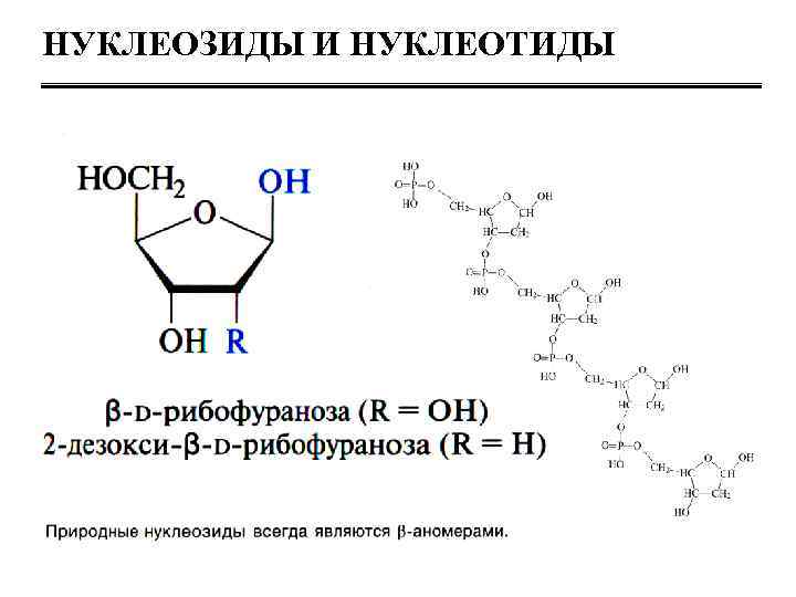 Нуклеозиды и нуклеотиды. Химические свойства нуклеозидов. Нуклеотид и нуклеозид. Нуклеотиды нуклеозиды нуклеиновые кислоты. Природные нуклеозиды.