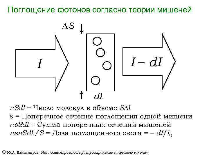 Поглощение фотонов согласно теории мишеней S I – d. I I dl n. Sdl