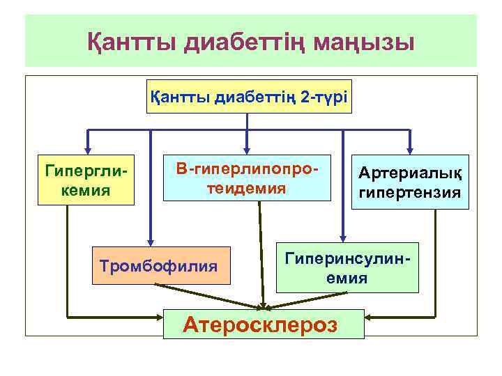 Қантты диабеттің маңызы Қантты диабеттің 2 -түрі Гипергликемия Β-гиперлипопротеидемия Тромбофилия Артериалық гипертензия Гиперинсулинемия Атеросклероз