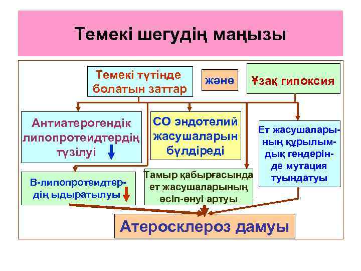 Темекі шегудің маңызы Темекі түтінде болатын заттар Антиатерогендік липопротеидтердің түзілуі Β-липопротеидтердің ыдыратылуы және Ұзақ