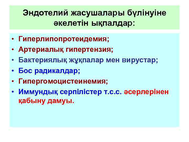 Эндотелий жасушалары бүлінуіне әкелетін ықпалдар: • • • Гиперлипопротеидемия; Артериалық гипертензия; Бактериялық жұқпалар мен