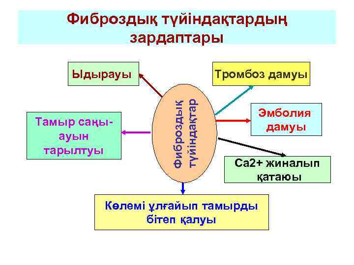 Фиброздық түйіндақтардың зардаптары Тамыр саңыауын тарылтуы Тромбоз дамуы Фиброздық түйіндақтар Ыдырауы Эмболия дамуы Са